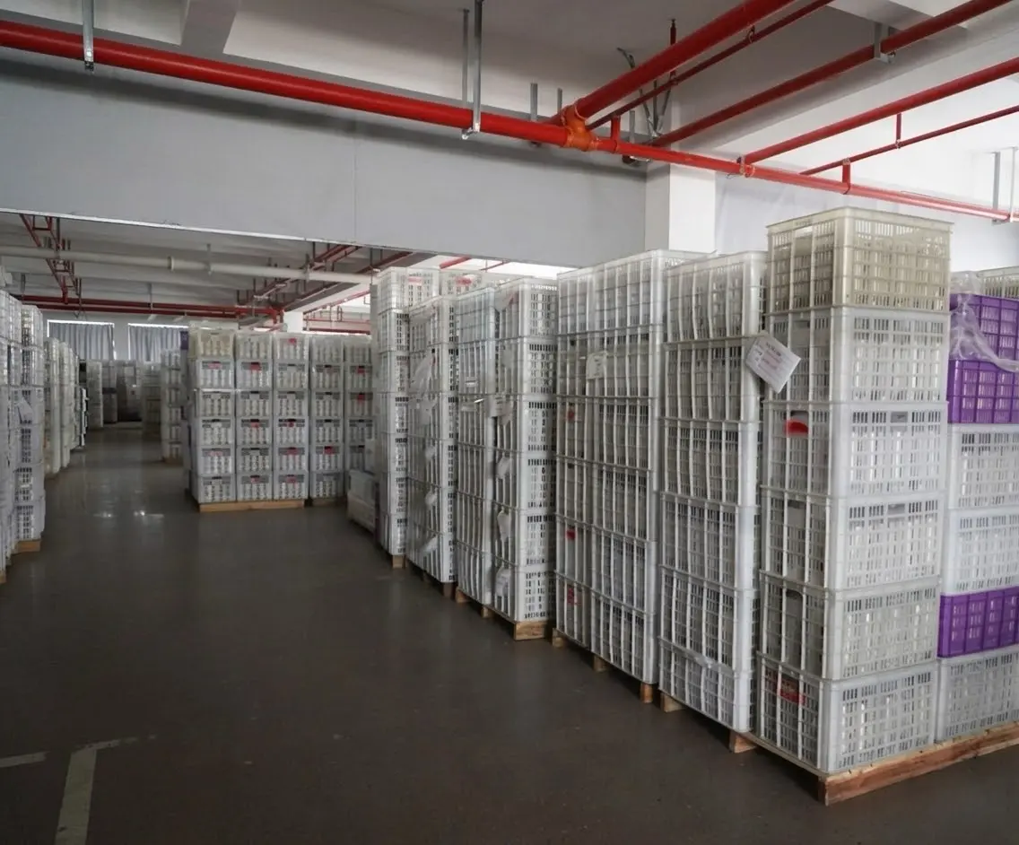 Corporate gym wellness program